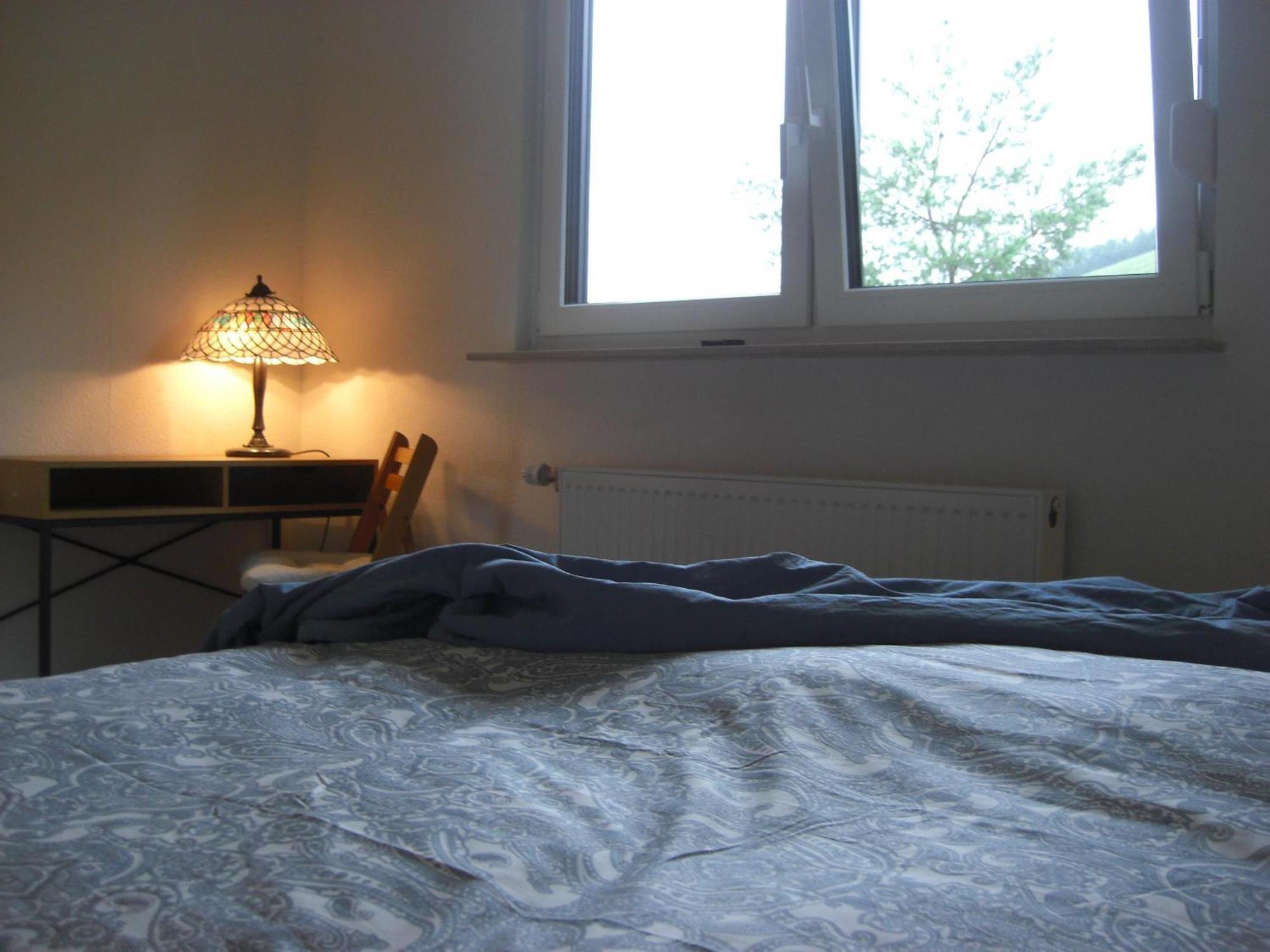 Ferienwohnung Alter Weinberg Сарбург Екстериор снимка